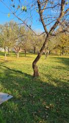 Záhrady - Moldava nad Bodvou