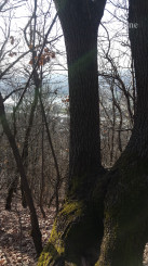 Pozemok s krásnym výhľadom na mesto na rekreačné účely