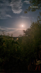 Stavebný pozemok - Jasov