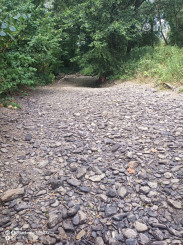 Stavebný pozemok - Jasov