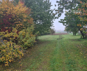 Pozemok v zastavanej časti obce Egreš