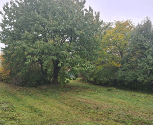 Pozemok v zastavanej časti obce Egreš