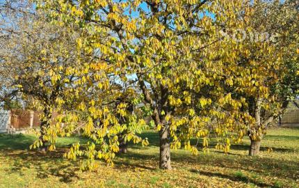 Stavbný/é pozemok/y - Moldava nad Bodvou