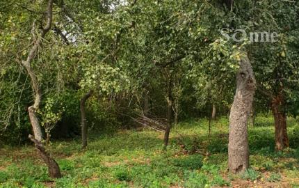 Stavebný pozemok - Veľké Slemence