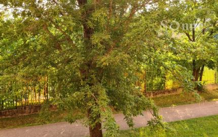 Prenájom 3 izbového bytu - Košice, Považská