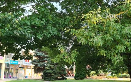 Prenájom 3 izbového bytu - Košice, Považská