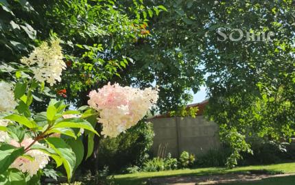Rodinný dom s možnosťou využitia aj ako dvojgeneračný spolu so samostatnou stavbou - Mokrance