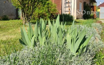 Rodinný dom s možnosťou využitia aj ako dvojgeneračný spolu so samostatnou stavbou - Mokrance