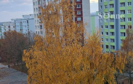 Na predaj 3 izbový pražský typ bytu na Zombovej ulici - REZERVOVANÝ