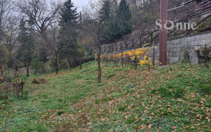 Chalupa -Telkibánya