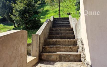 Vidiecky rodinný dom Háj