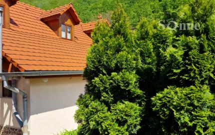 Vidiecky rodinný dom Háj