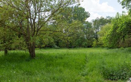 Rodinný dom s 28 ár. záhradou - Čečejovce – Seleška