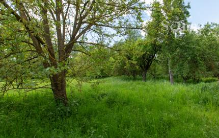Rodinný dom s 28 ár. záhradou - Čečejovce – Seleška