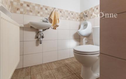 Vidiecky dom s pozemkom so samostatným prístupom- Budulov