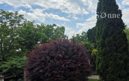 Vidiecky rodinný dom v obci Debraď