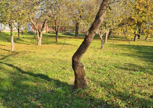 Záhrady - Moldava nad Bodvou