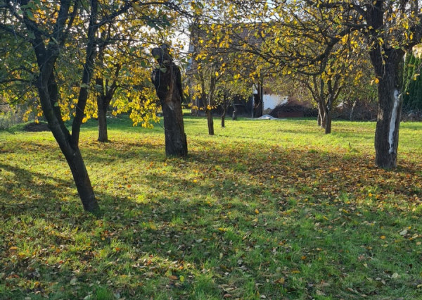 Záhrady - Moldava nad Bodvou