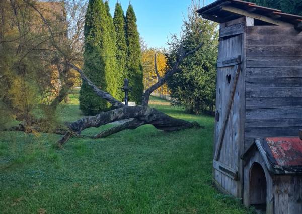 Záhrady - Moldava nad Bodvou