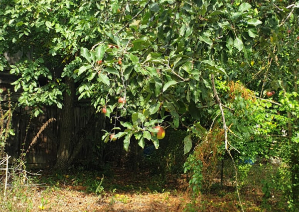 Rodinný dom - Veľké Slemence