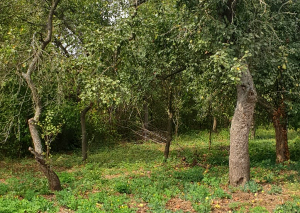Stavebný pozemok - Veľké Slemence