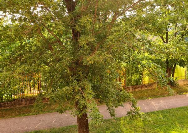 Prenájom 3 izbového bytu - Košice, Považská