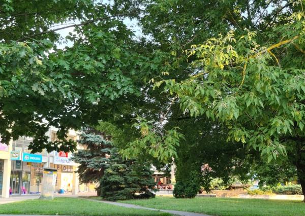 Prenájom 3 izbového bytu - Košice, Považská