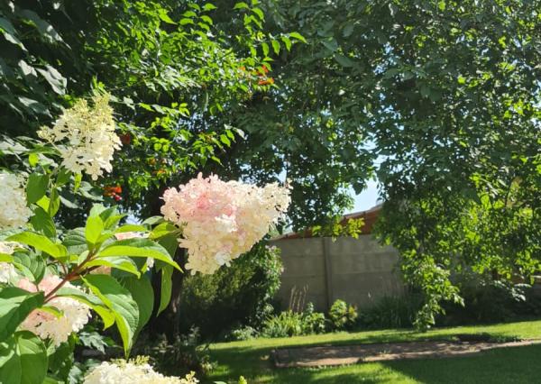 Rodinný dom s možnosťou využitia aj ako dvojgeneračný spolu so samostatnou stavbou - Mokrance