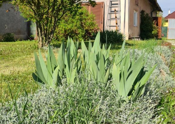 Rodinný dom s možnosťou využitia aj ako dvojgeneračný spolu so samostatnou stavbou - Mokrance