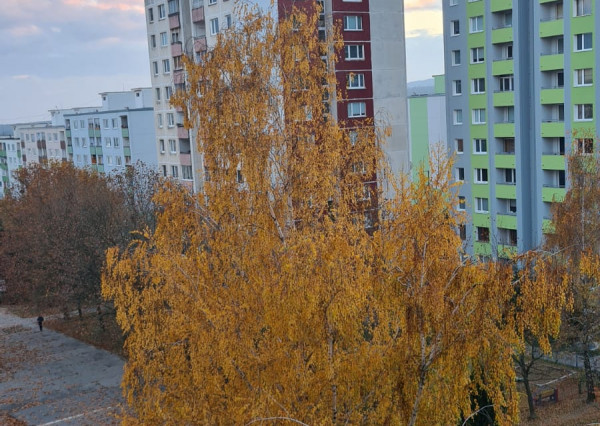 Na predaj 3 izbový pražský typ bytu na Zombovej ulici - REZERVOVANÝ