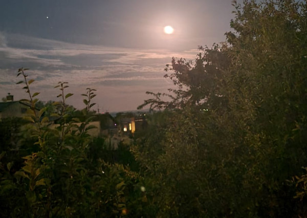 Stavebný pozemok - Jasov