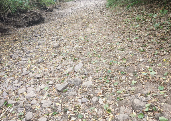 Stavebný pozemok - Jasov