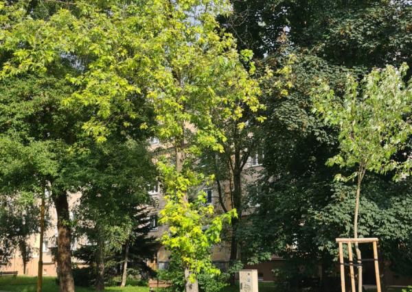 Prenájom priestranného a slnečného 4 izbového bytu - Košice, Zimná