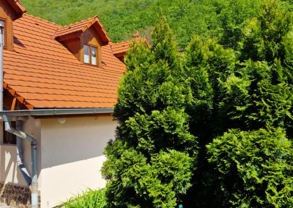 Vidiecky rodinný dom Háj