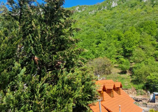 Vidiecky rodinný dom Háj