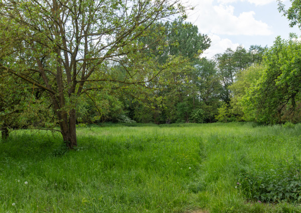 Rodinný dom s 28 ár. záhradou - Čečejovce – Seleška