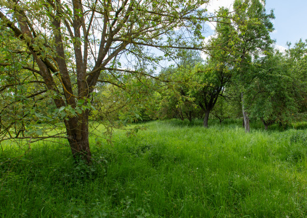 Rodinný dom s 28 ár. záhradou - Čečejovce – Seleška