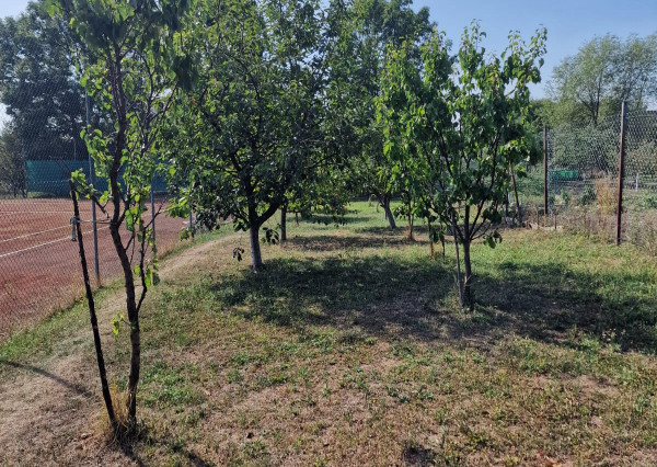 Rodinný dom - Bačkov