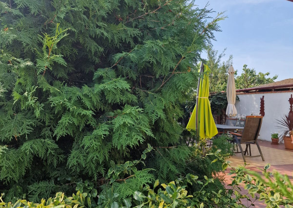 Rodinný dom - Bačkov