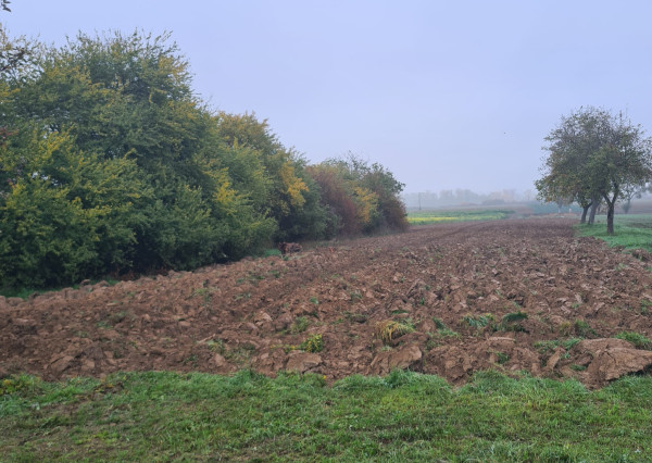 Pozemok v zastavanej časti obce Egreš