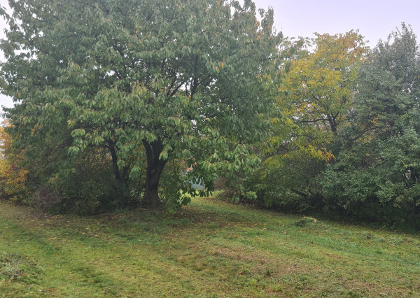 Pozemok v zastavanej časti obce Egreš