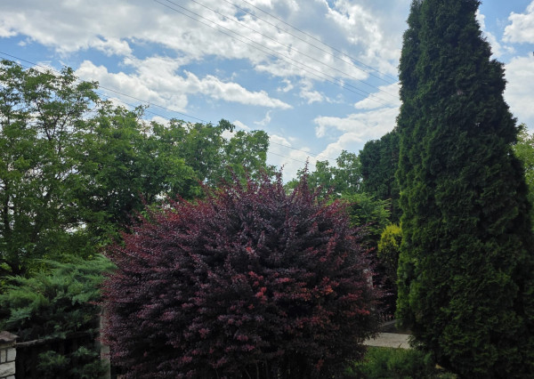 Rodinný dom v obci Debraď