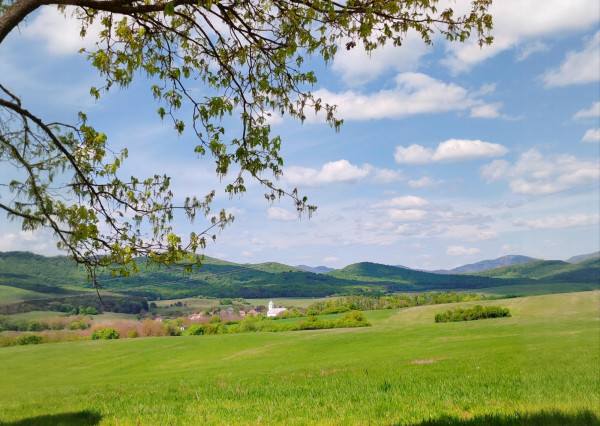 Vidiecky rodinný dom v Debradi